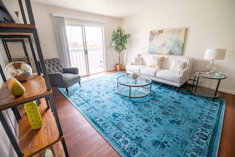 a living room with a blue rug and a white couch